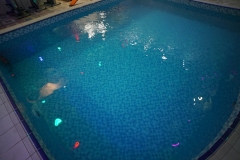 banojhotel_9